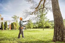 Best Residential Tree Removal  in Prairie View, TX